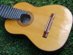 Thomas Humphrey 10-string guitar.